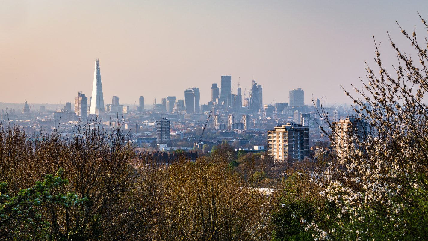 Borough of Lewisham - HomeViews